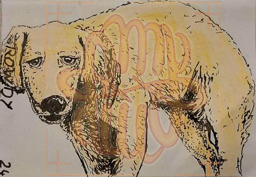 Inktober, traditional, animal, half body, Scrubs, Rowdy, dog, hatching, minimal shading