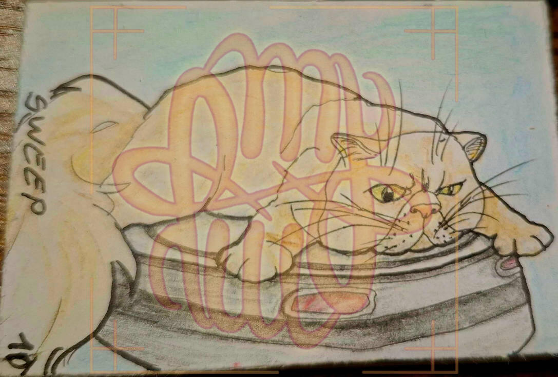 Inktober, traditional, animal, cat, full body, object, Roomba, robot, simple shading